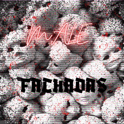 Fachadas - Single