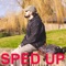 Autostopul (feat. Tranda) [Sped Up] - Vlad Flueraru lyrics