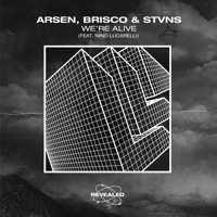 We're Alive (feat. Nino Lucarelli) - Single - Arsen, Brisco & Stvns