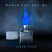 Would You Let Me? - Single - Sarah Steil