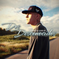 Dos Desconocidos (feat. Fabri Dj) - Single - Thommy