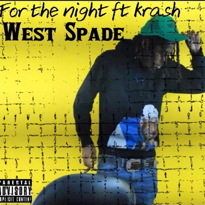 For the night (feat. Krash) - Single