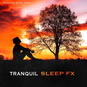 Tranquil Sleep FX
