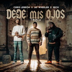 Desde Mis Ojos (Remix) - Single