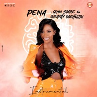 Pena (feat. Gravity Omutujju) [(Instrumental)] - Single - Quin Smile Music