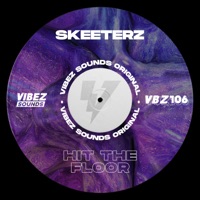Hit the Floor - Single - Skeeterz