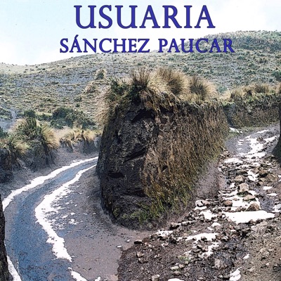 Usuaria - Single