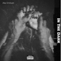 In the Dark - Single - Alex Erickson