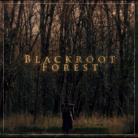 Blackroot Forest - Single - The Wise Man's Fear