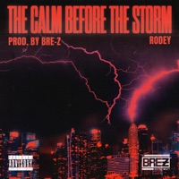 The Calm Before the Storm - Single - Rodey Cali’s Remedy