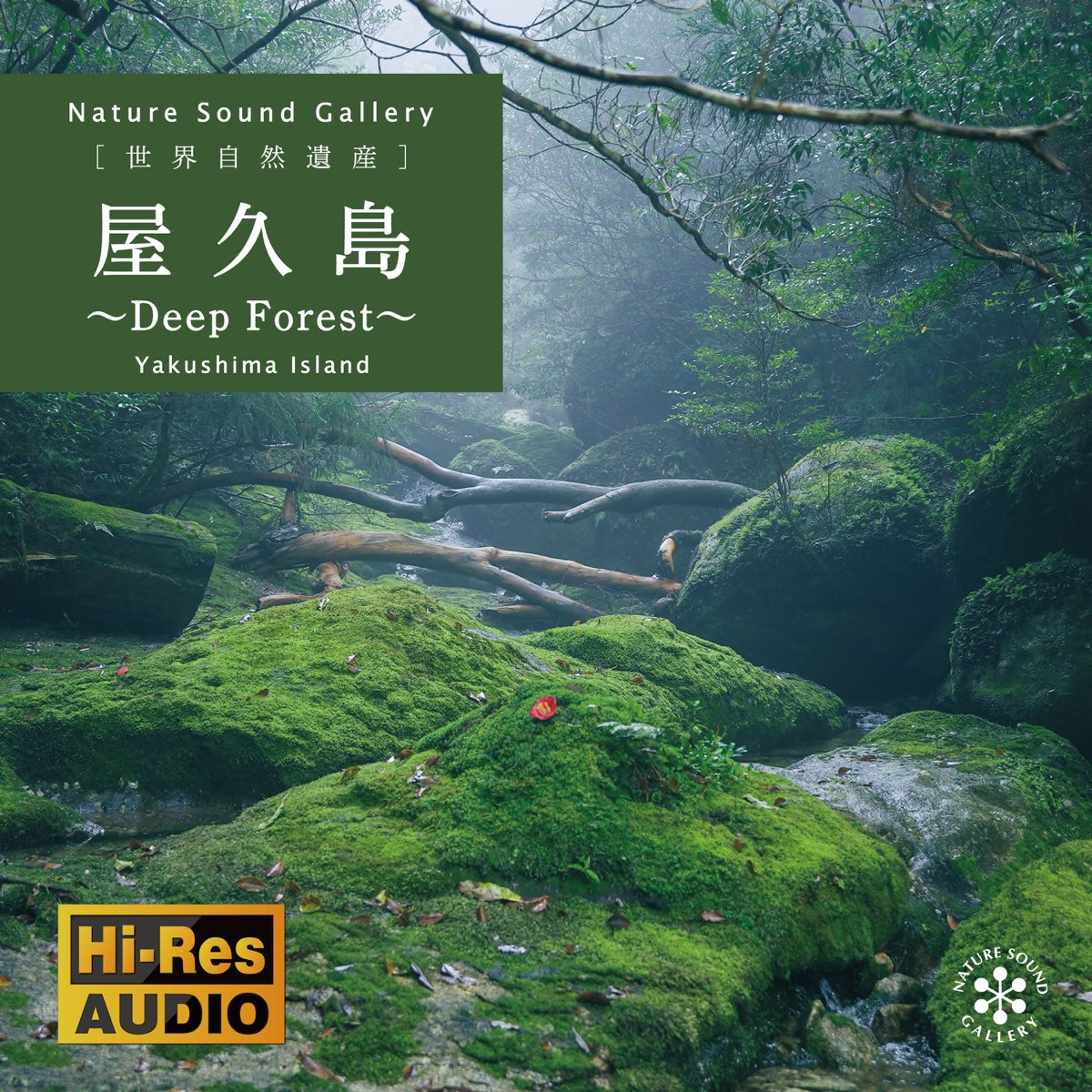 Альбом «Yakushima Island - Deep Forest» — ネイチャー・サウンド