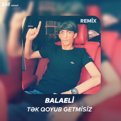 Tek Qoyub Getmisiz (Remix) - Single
