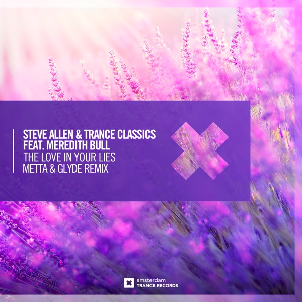 The Love in Your Lies (feat. Meredith Bull) [Metta & Glyde Remix] - Single