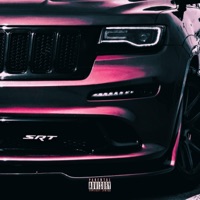 Srt - Single - Chase Bags