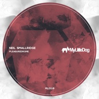 Pleasuredrome - Single - Neil Smallridge