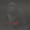 Apesh!T - Single