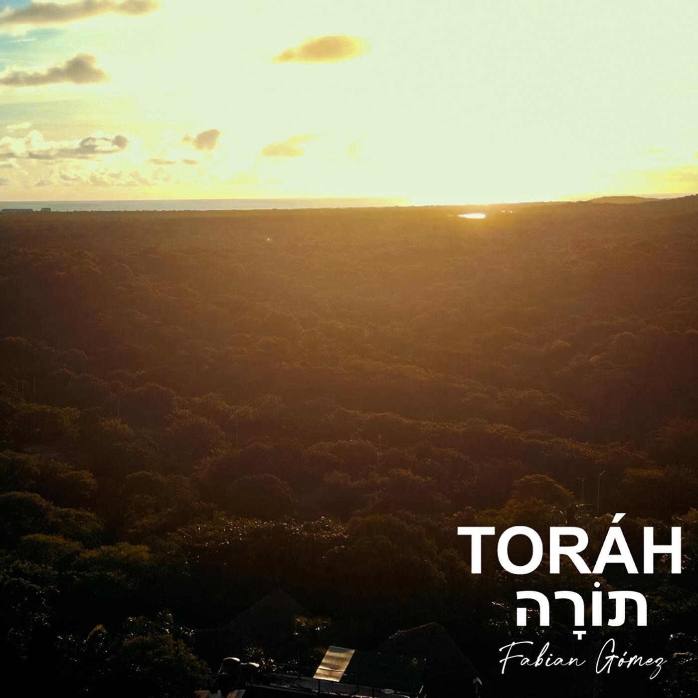 Torah - Single