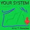 Your System Corrupt Incompetent Negligent - Kris T Reeder lyrics
