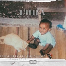 DILIKA (feat. TATU & GBABY) Priestdebeast