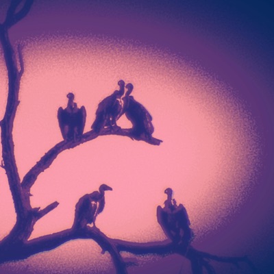halfway crooks - Single