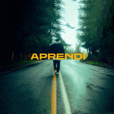 Aprendí - Single