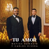 Teu Amor artwork