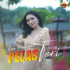 Pelas Teri - Single