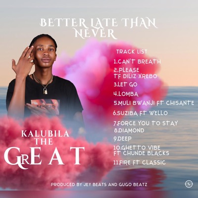 Please (feat. Diliz & Trebo) - Single