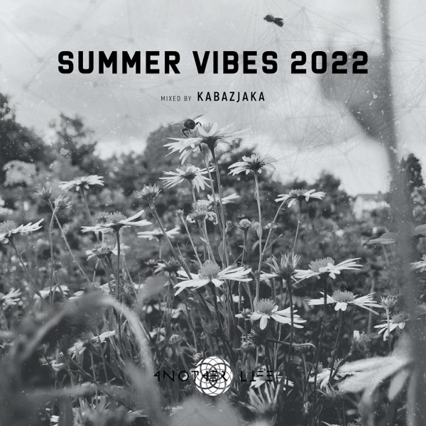 Summer Vibes 2022 (DJ Mix)