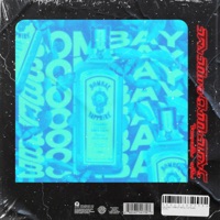 Bombay (feat. Iarck) - Single - Skull Chains