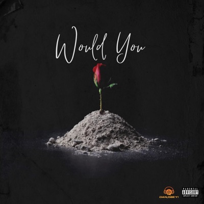 Would You - Single