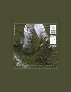 收听 Focus Group、观看音乐视频、阅读小传、查看巡演日期等 ！