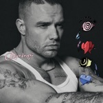 Liam Payne - Teardrops