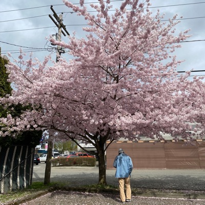 feeling like i can't breathe - Single