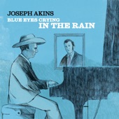 Blue Eyes Crying in the Rain artwork