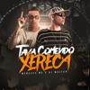 Tava Comendo Xereca - Single