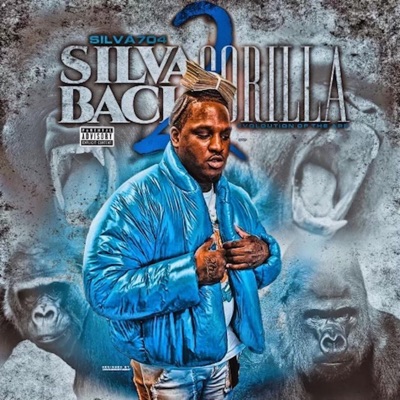 SilvaBack Gorilla 2