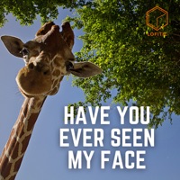 Have You Ever Seen My Face - Single - Lofitic