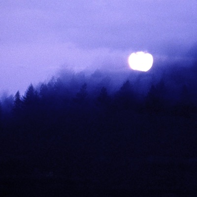 Kuujchi Trail - EP