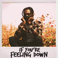 If You're Feeling Down - Single - jdam