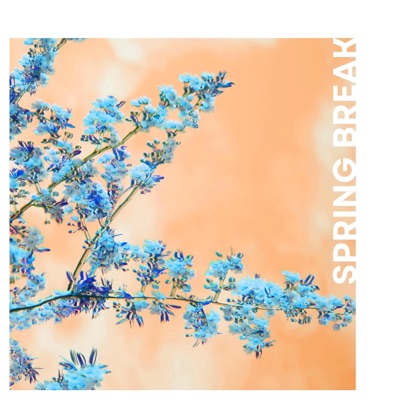 Spring Break - Single