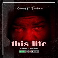 This Life (feat. Freednom) - Single - KMONEY