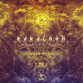 Insight Babagoon