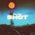 Shot