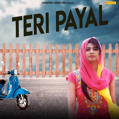 Teri Payal - Single