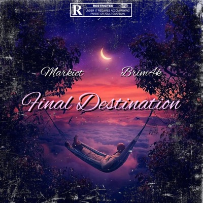 Final Destination (feat. BRIM4k) - Single