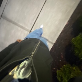 Scammin' My Bro GVRY