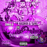 The Blueprint of Houston (feat. Craig G) [Sauced Up Remix] - Single - DJ SaucePark