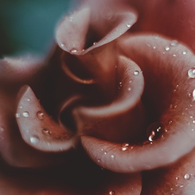 Rainy Day - Single