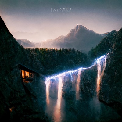 Dear Future - Single